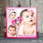 magnet botez minnie