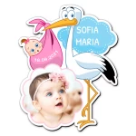Marturii botez magnetice Barza - MFB-02 - imagine 2