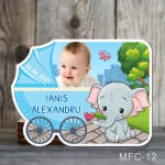 marturii botez magnetice elefant