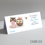 Plic de bani botez baieti – Bufnita – CMB-03