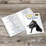 Meniu Botez - Batman - MB-76