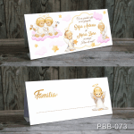 Plic de bani - gemeni - Ingerasi - PBB-073