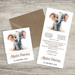 invitatii botez baiat