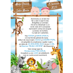 invitatii electronice gemeni