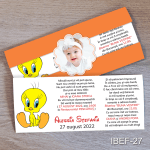 modele invitatii botez fetite