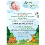 invitatii digitale botez
