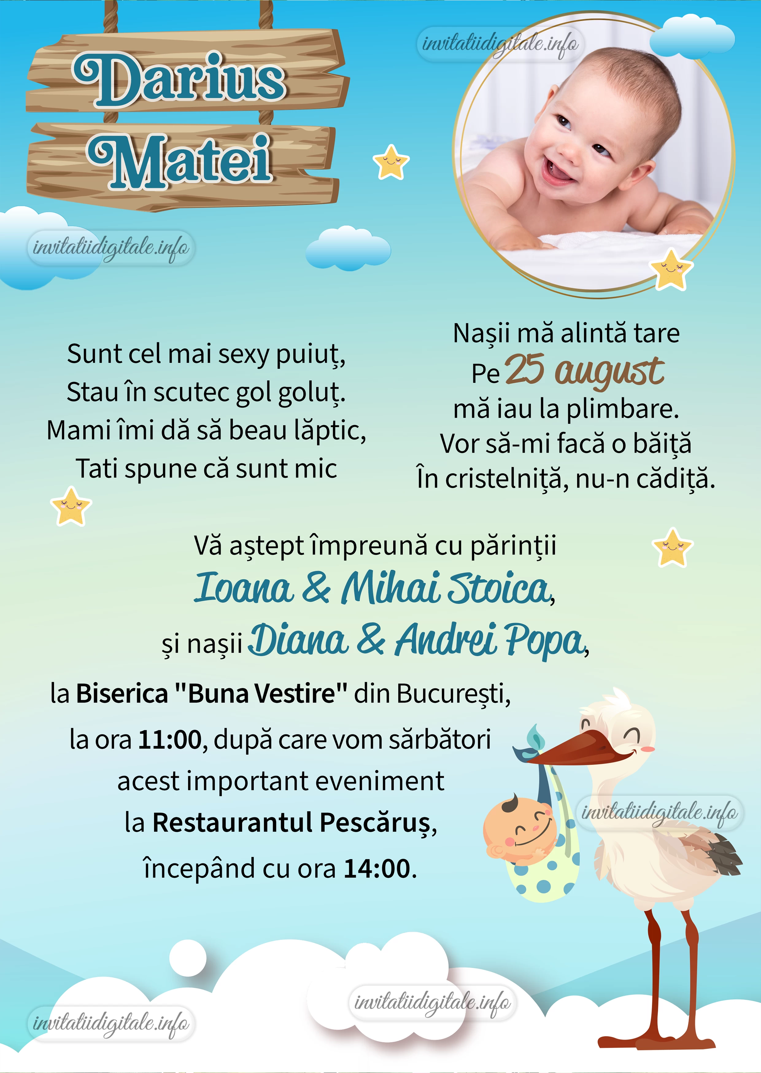invitatii electronice botez barza IBF-27 invitatii digitale botez