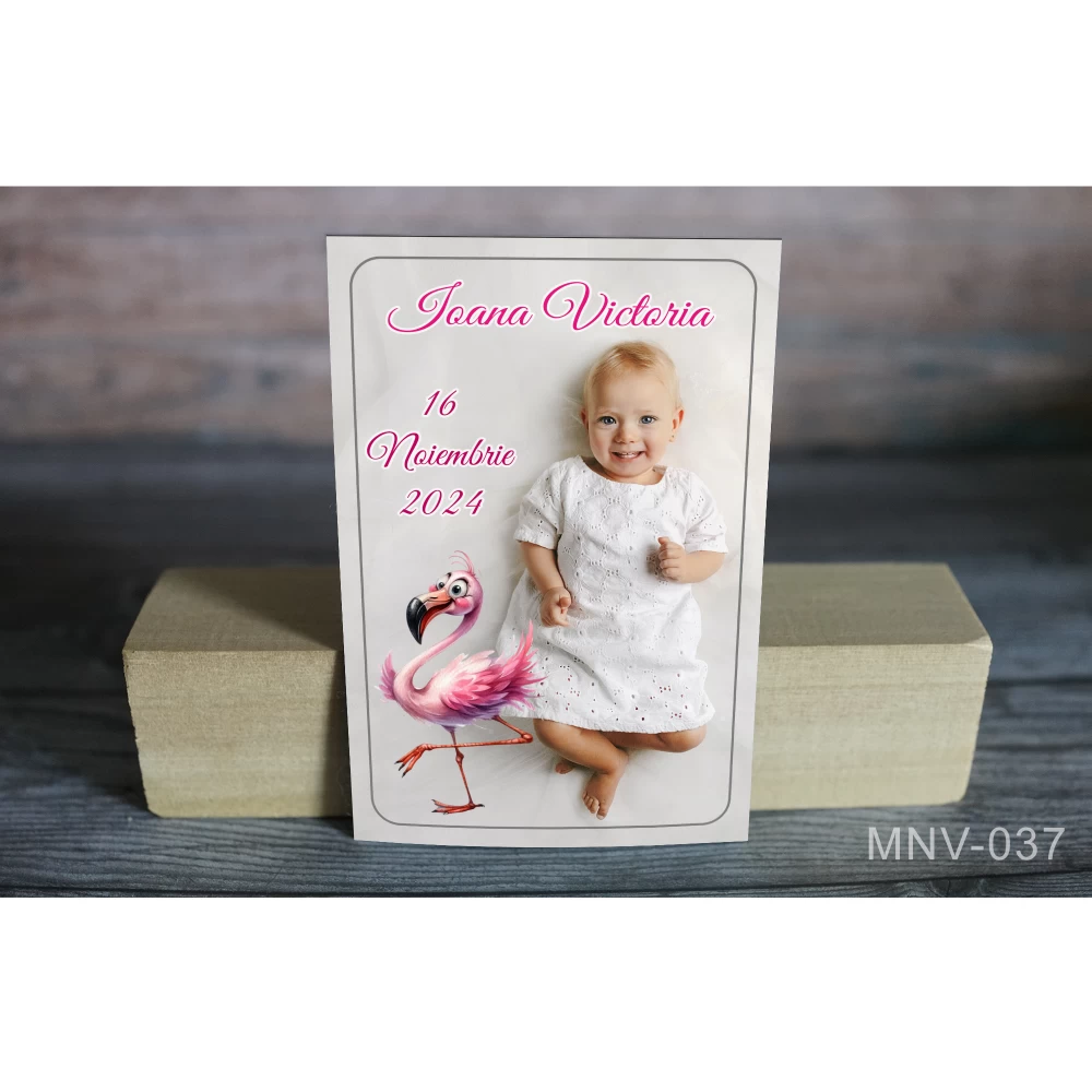 magneti botez fetite flamingo