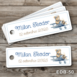 etichete personalizate botez Ursulet in avion