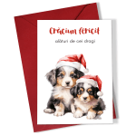 felicitari craciun