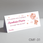 plicuri bani botez ieftine ursulet cu baloane