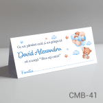 plicuri bani botez ieftine ursulet cu baloane