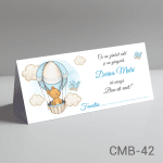 plicuri bani botez ieftine ursulet in balon cu aer cald