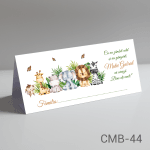 plicuri bani botez ieftine safari