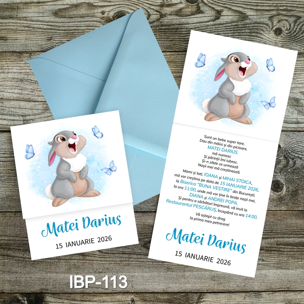invitatii botez Iepurasul Bocanila
