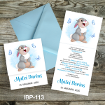 invitatii botez Iepurasul Bocanila