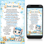 invitatii digitale botez baiat pisicuta