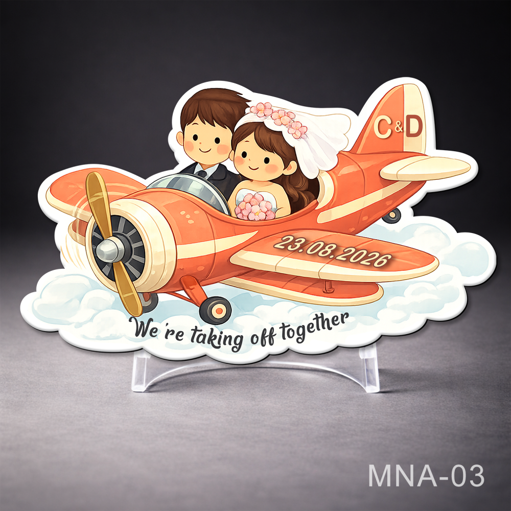 magneti marturii nunta avion cu miri