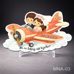 magneti marturii nunta avion cu miri