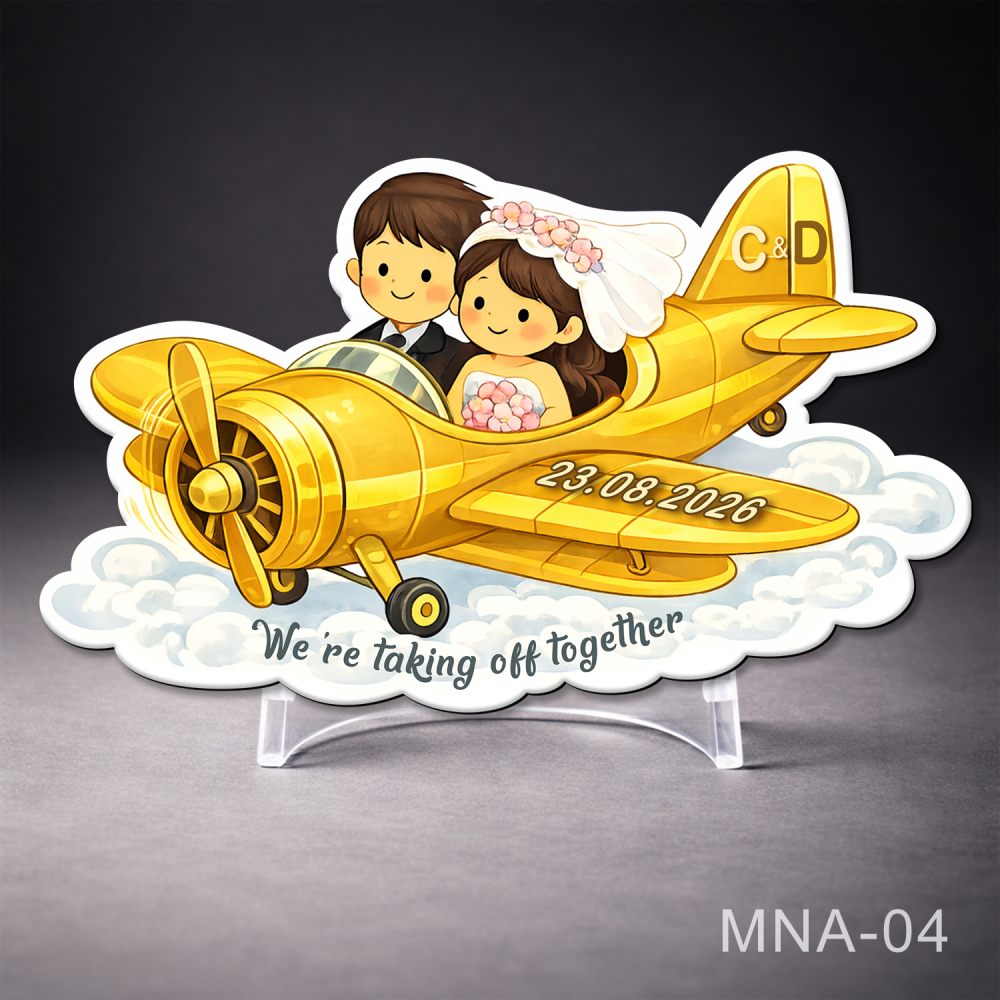 marturie nunta avion auriu cu miri magnet