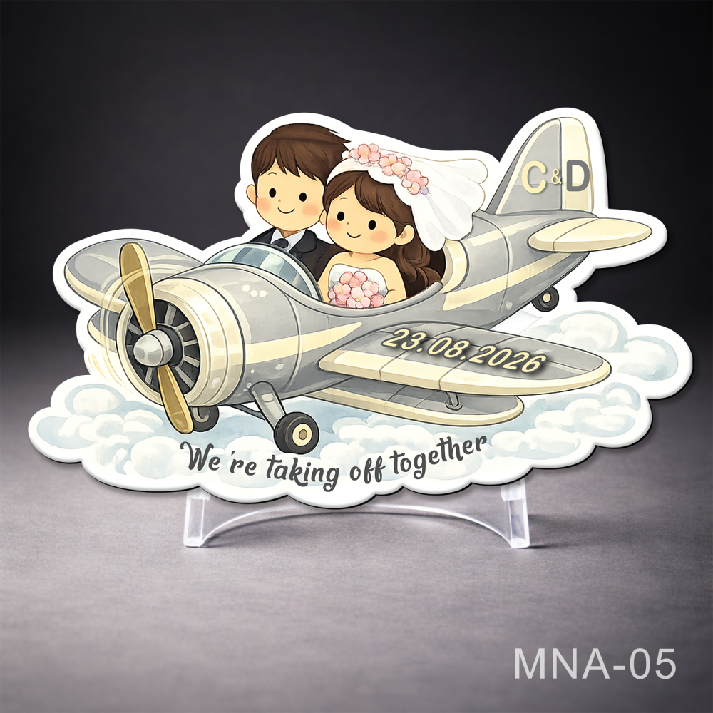 marturie nunta magnetica avion argintiu cu miri