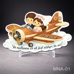 marturii nunta magneti avion cu miri