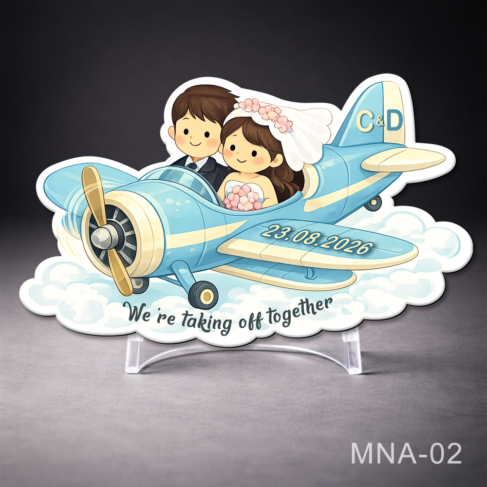 marturii nunta magnetice avion cu mire si mireasa