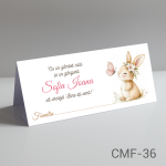 plicuri bani botez ieftine iepuras